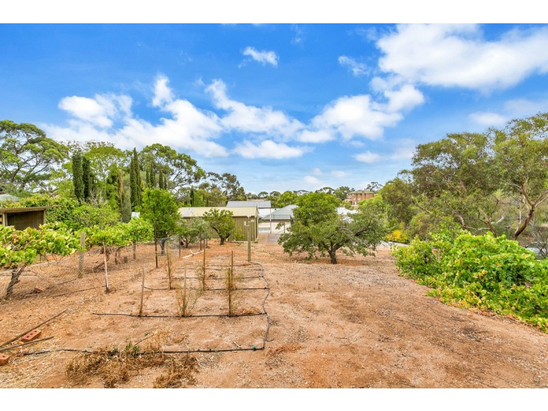29 Coomurra Drive, Greenwith SA 5125