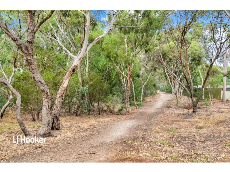 35 Radiata Grove, Salisbury Heights SA 5109