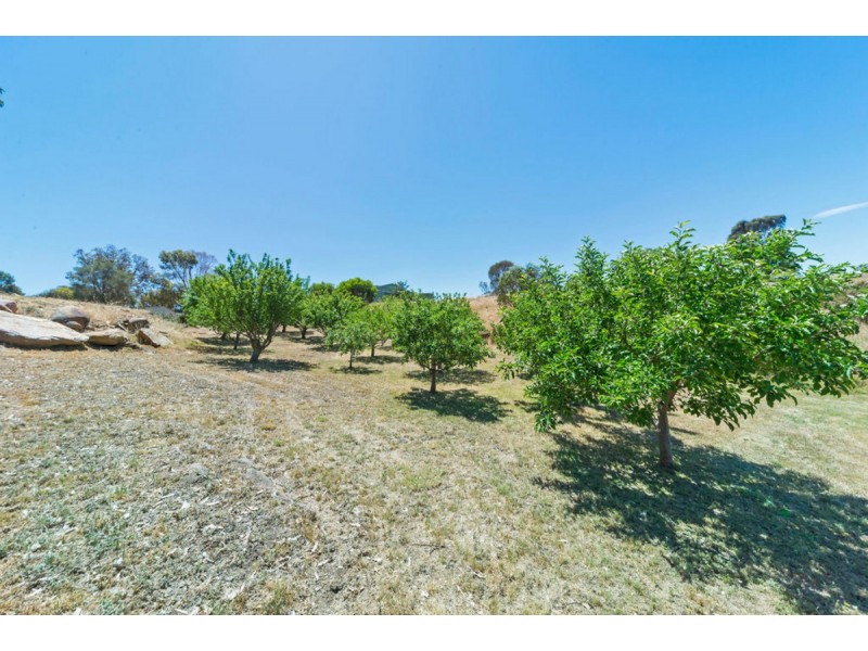 115 Church Road, Springton SA 5235