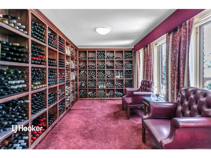 13 Antigua Court, Mawson Lakes SA 5095