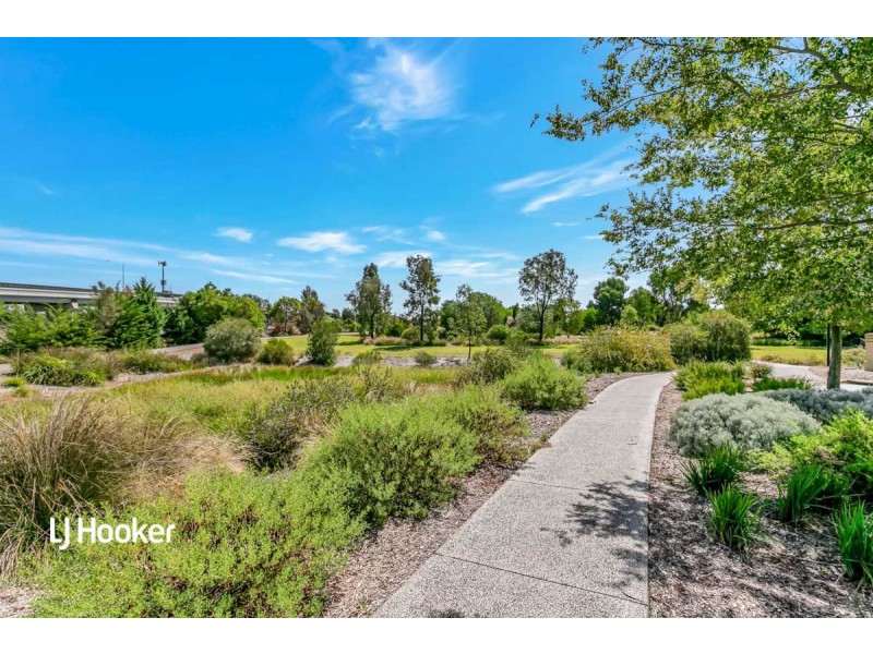 10 Antigua Court, Mawson Lakes SA 5095