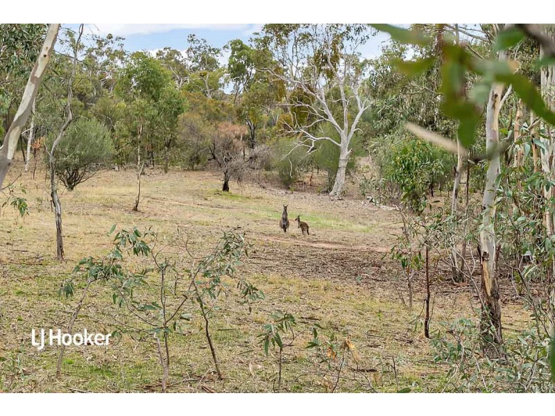 17-19 Norman Road, Yatala Vale SA 5126