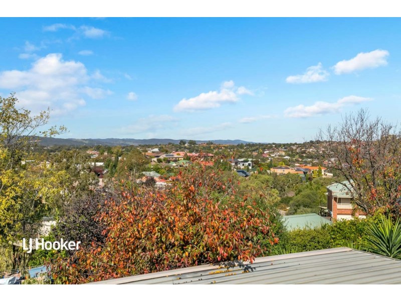 8 Bushmills Street, Greenwith SA 5125