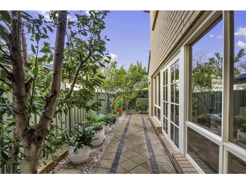 8 Eyre Court, Mawson Lakes SA 5095