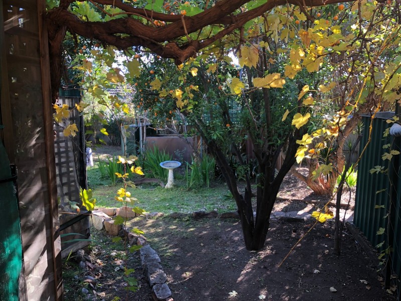 8 Chatsworth Avenue, Valley View SA 5093