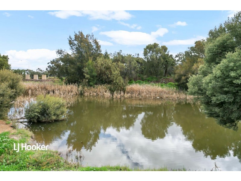 18 Mackenzie Circuit, Mawson Lakes SA 5095