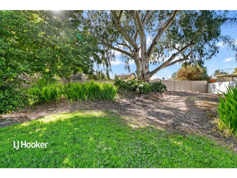 7 Dalaston Street, Modbury SA 5092