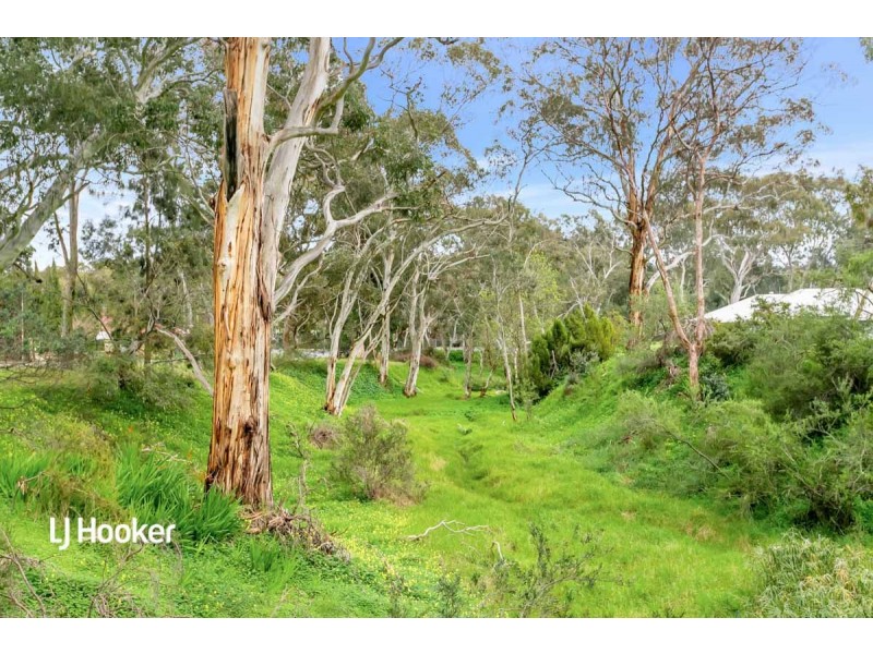 8 Mistletoe Terrace, Tea Tree Gully SA 5091