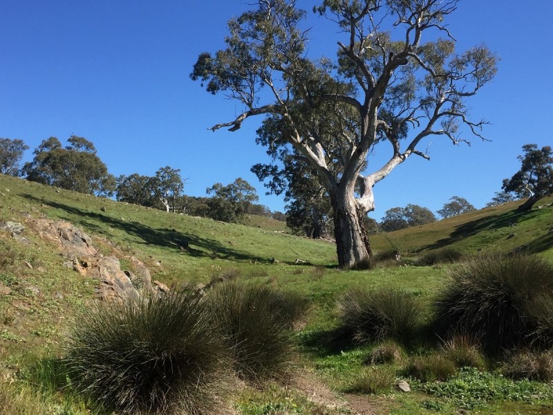 Lot 1973 Jury Road, Brukunga SA 5252