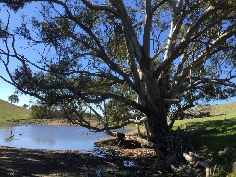 Lot 1973 Jury Road, Brukunga SA 5252