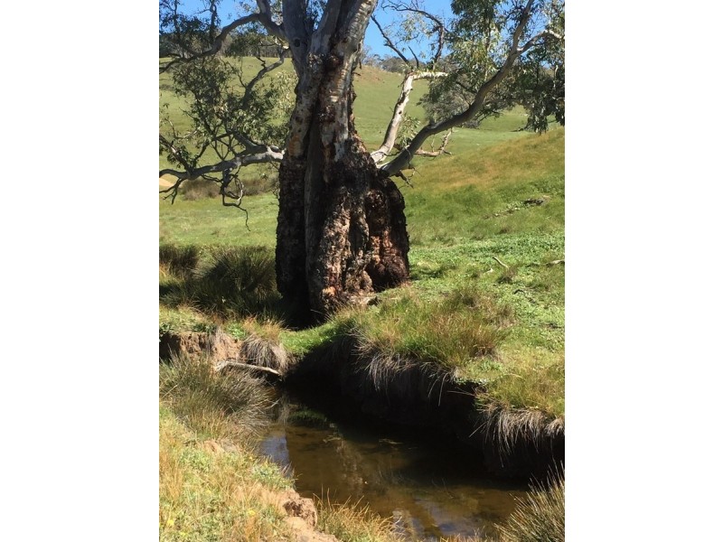 Lot 1973 Jury Road, Brukunga SA 5252