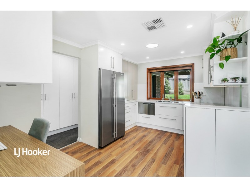 11 Reisling Road, Wynn Vale SA 5127