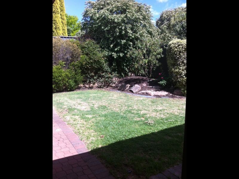 13 Taranaki Court, Greenwith SA 5125