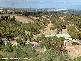 1036 Blacktop Road, Andrews Farm SA 5114