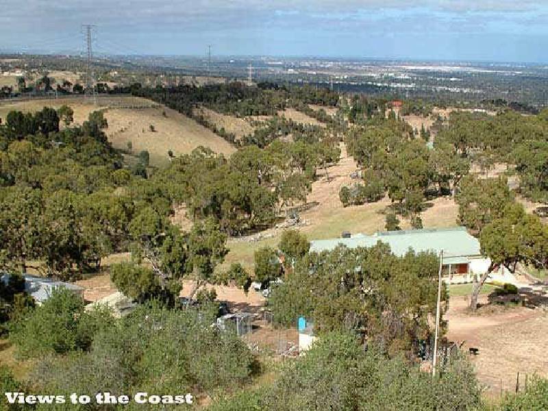 1036 Blacktop Road, Andrews Farm SA 5114