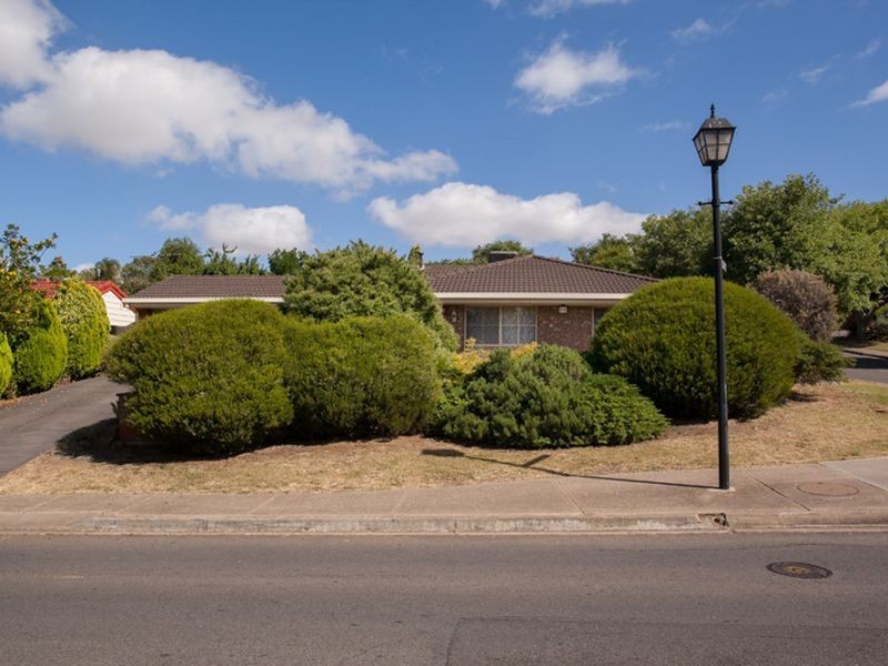 24 Halcyon Avenue, Greenwith SA 5125