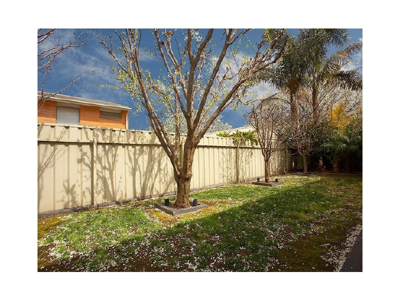 43 Anare Street, Greenwith SA 5125