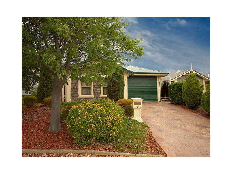 9 Cawrse Avenue, Wynn Vale SA 5127