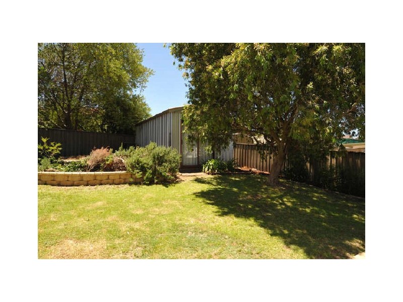 14 Marieberg Avenue, Modbury Heights SA 5092