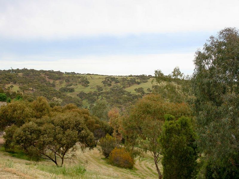 18 Lachlan Street, Greenwith SA 5125