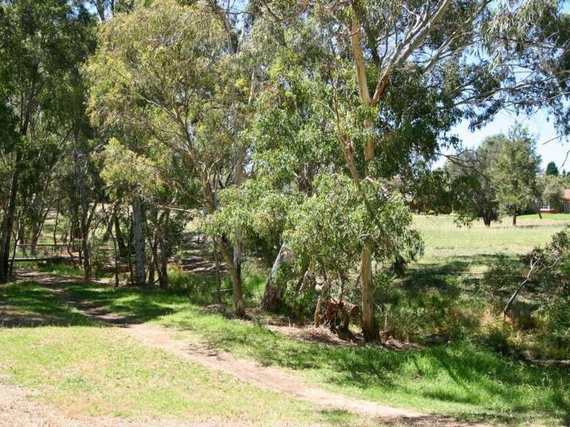 31 Amanda Drive, Surrey Downs SA 5126