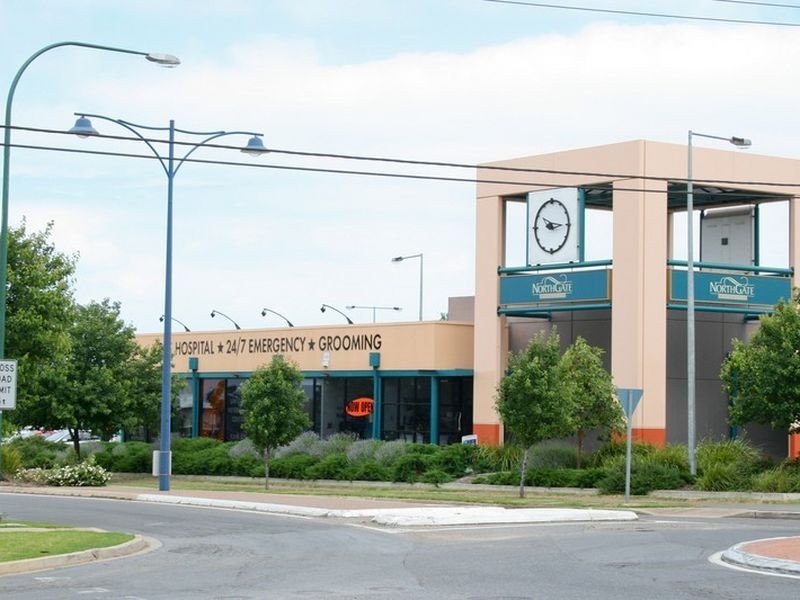 4/2-8 Chatswood Court, Oakden SA 5086