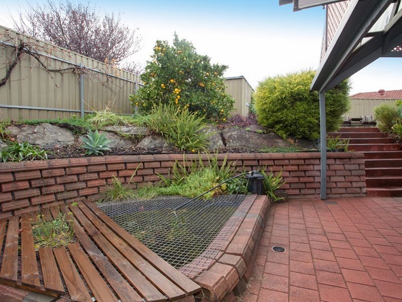 7 Festive Place, Greenwith SA 5125