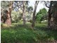 35 Freeman Avenue, Tranmere SA 5073