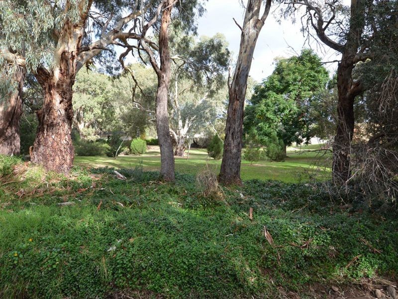 35 Freeman Avenue, Tranmere SA 5073