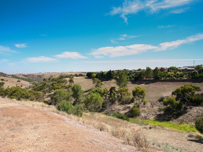 25 Borodino Court, Greenwith SA 5125