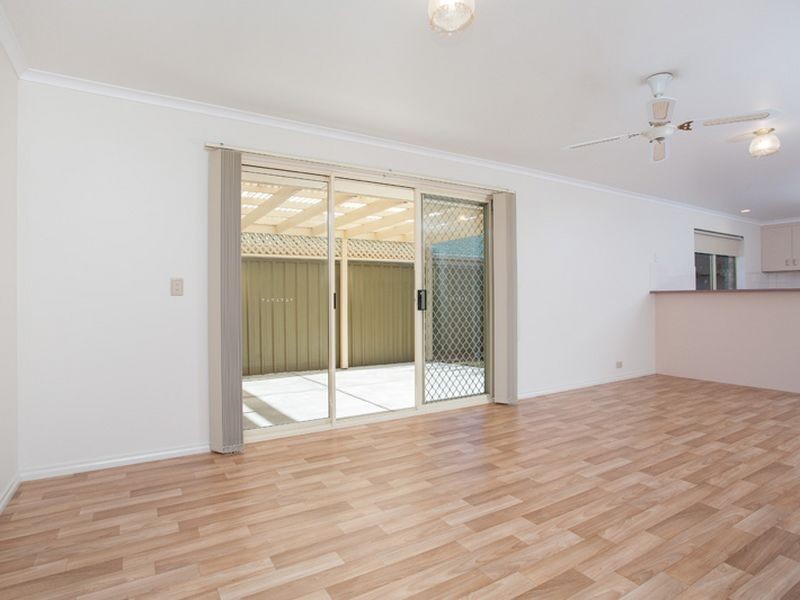 16 Candlebark Grove, Greenwith SA 5125