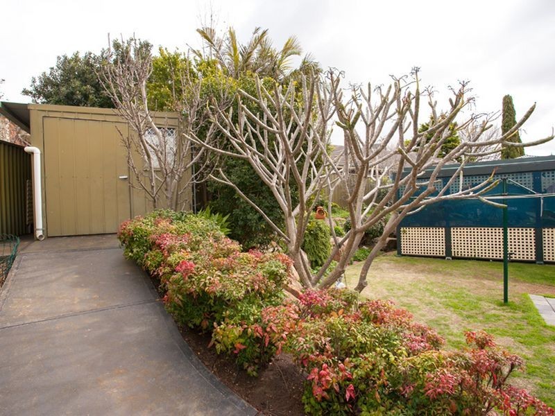 3 Fatchen Court, Greenwith SA 5125