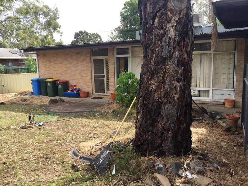 16 Davenport Street, Banksia Park SA 5091