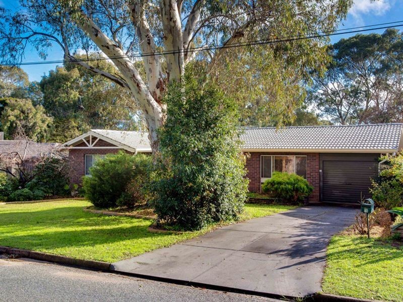 16 Palmer Street, Fairview Park SA 5126