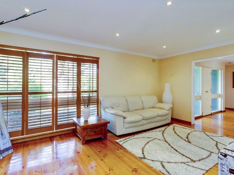 16 Palmer Street, Fairview Park SA 5126