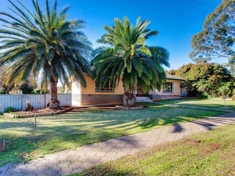 20 Gould Street, Para Hills SA 5096