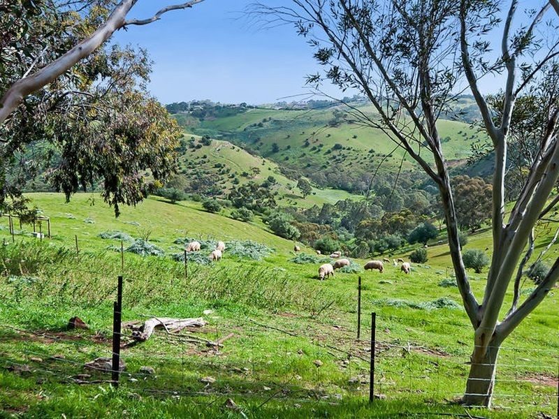 114 Kurrajong Road, Gould Creek SA 5114