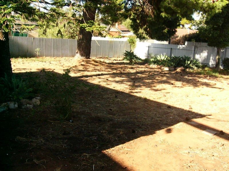 16 Haldane Street, Elizabeth Downs SA 5113