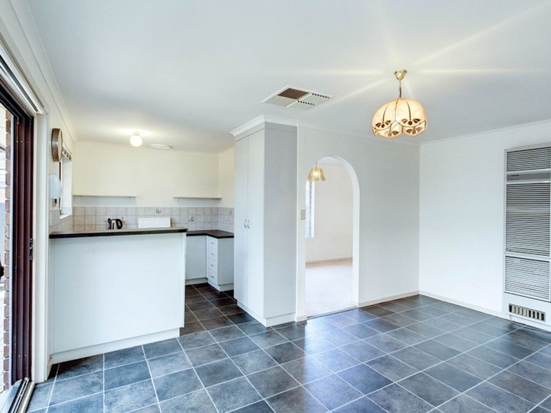 14 Griffin Place, Wynn Vale SA 5127