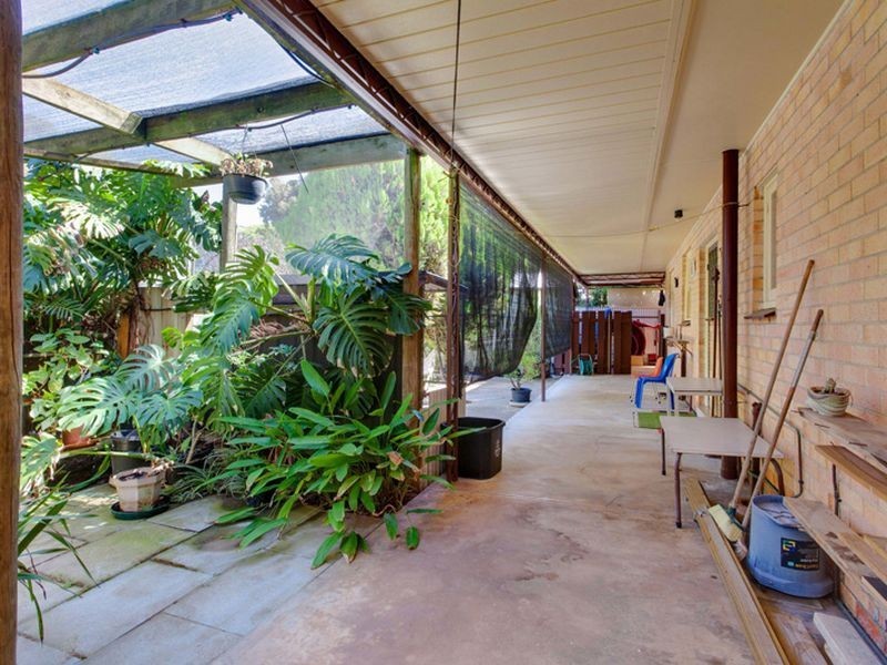 10 Ambrose Avenue, Campbelltown SA 5074