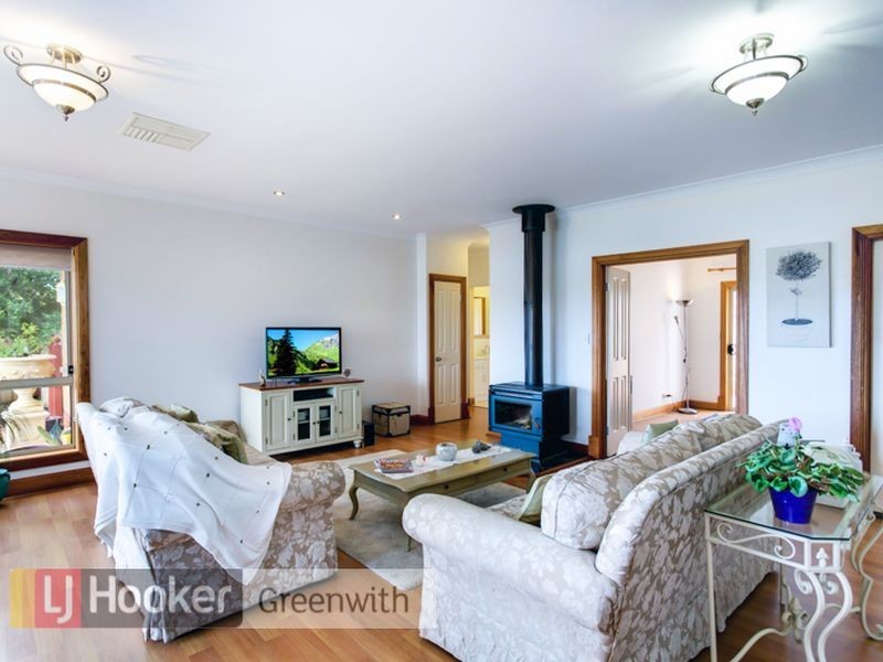 29 Coley Place, Greenwith SA 5125