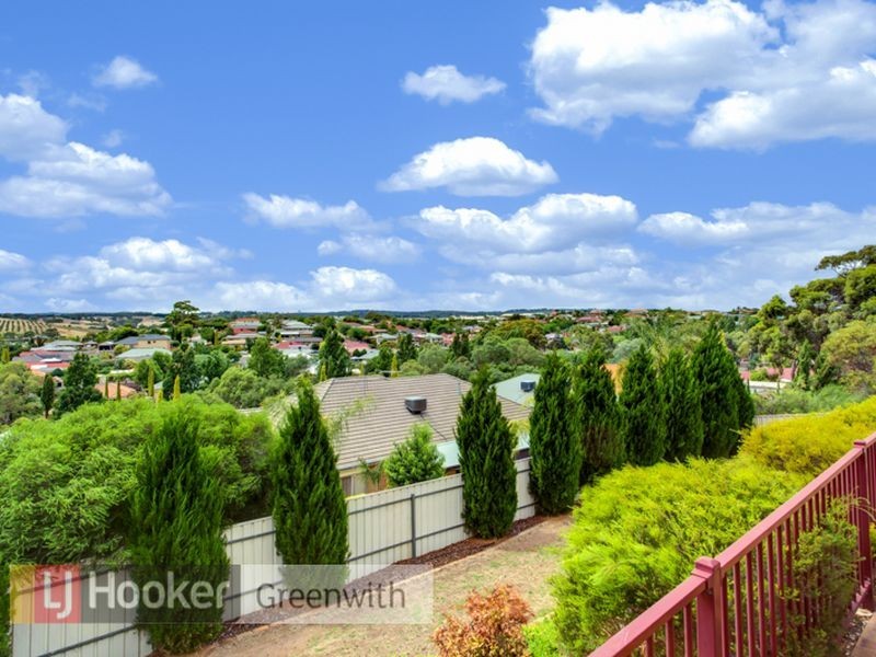 17 Holbrook Crescent, Greenwith SA 5125