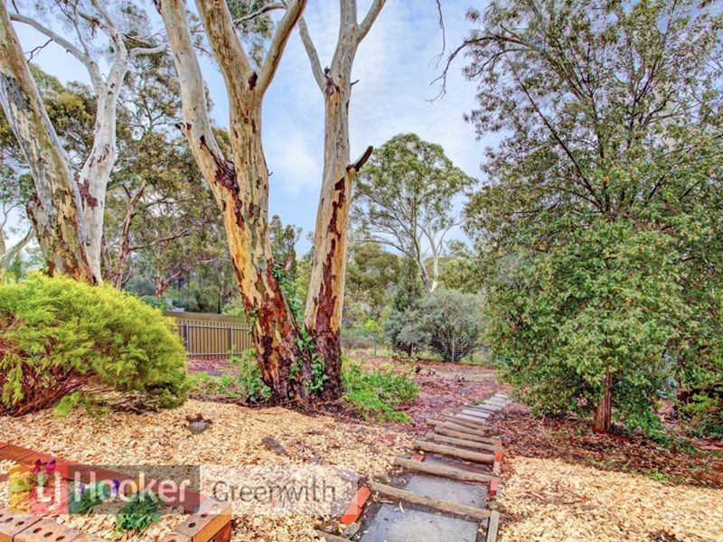 37 Rednall Street, Tea Tree Gully SA 5091