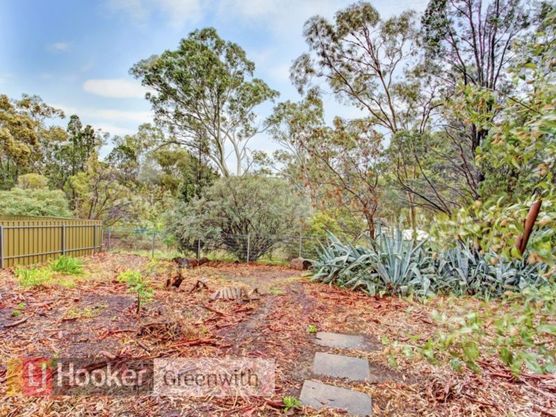 37 Rednall Street, Tea Tree Gully SA 5091