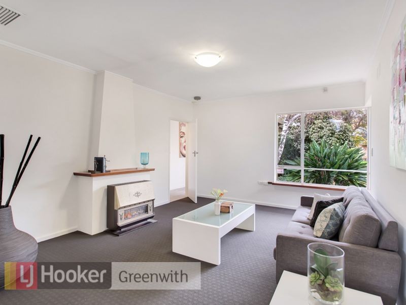 41 Meath Avenue, Salisbury Downs SA 5108