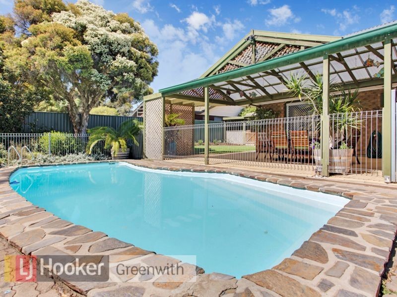 17 Haussmann Avenue, St Agnes SA 5097