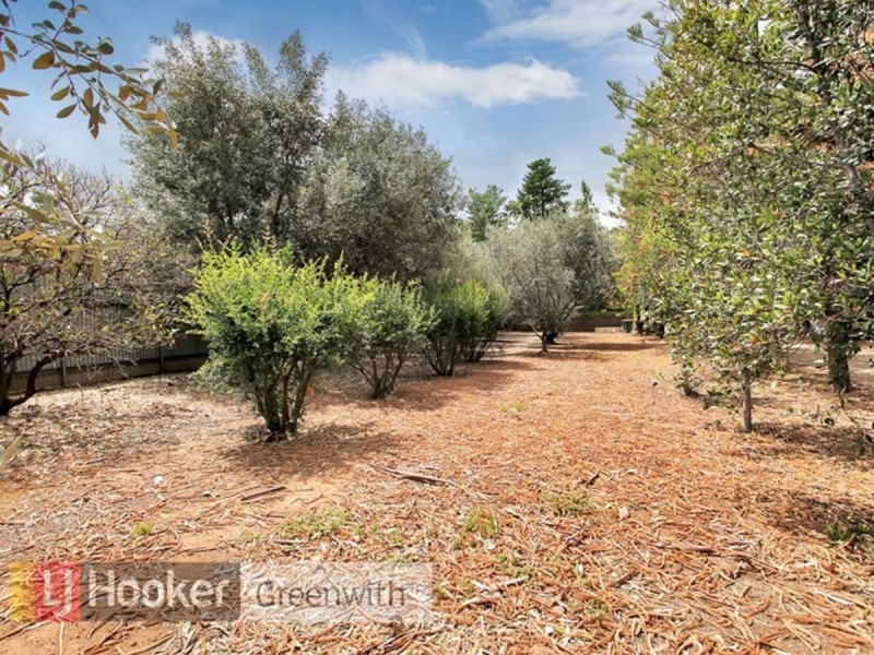 38 Julian Road, Macdonald Park SA 5121