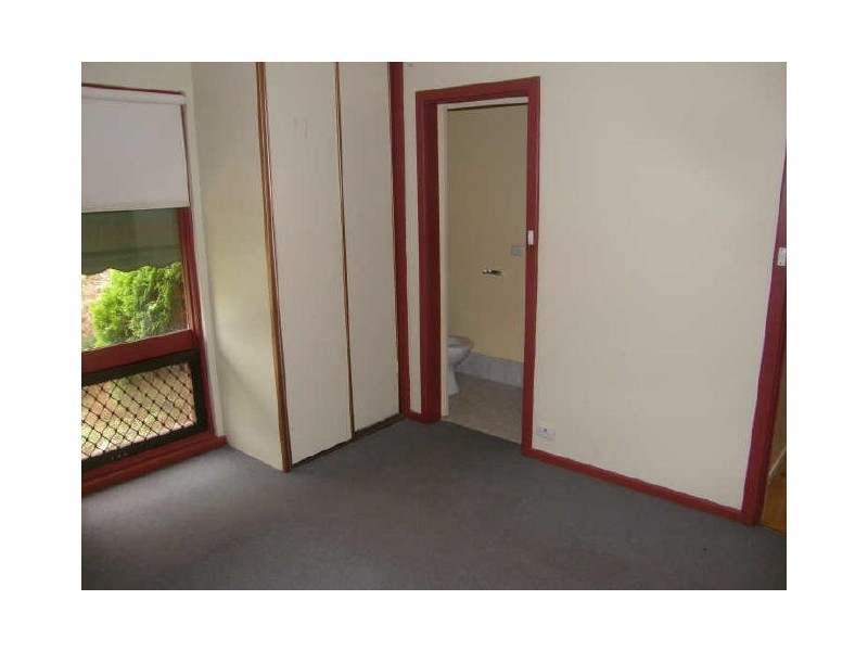 20 Camelia Street, Tea Tree Gully SA 5091