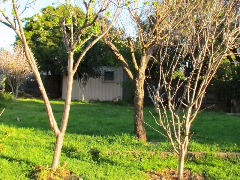 6 Elizabeth Court, Rowville VIC 3178