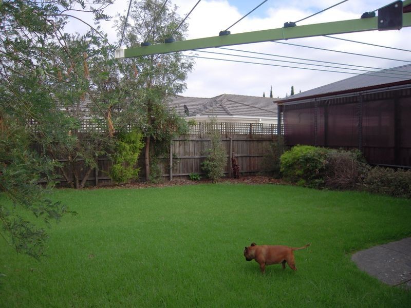 437 Dandelion Drive, Rowville VIC 3178